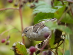 20150908 Cycle ride through forrest and polders